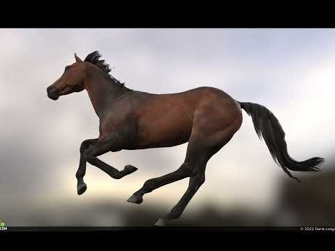 Видео: Па, шіркін!