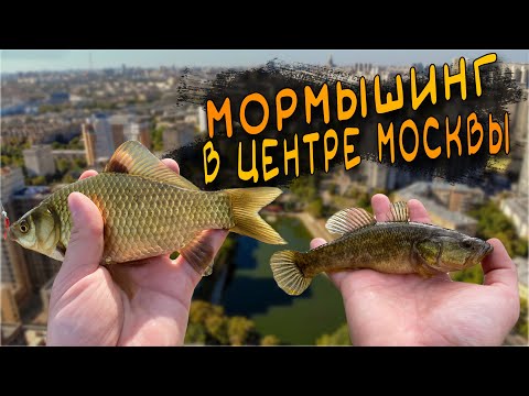 Видео: Мормышинг В Центре Москвы CF Nano Zero Air VS Dayo Prestige