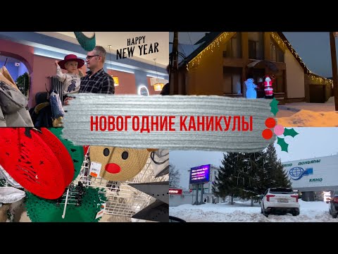 Видео: Новогодние выходные VLOG