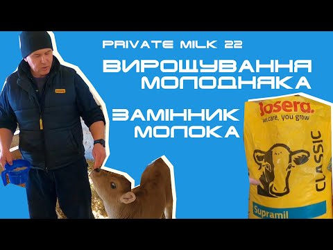 Видео: Вирощування молодняка. Замінник молока | Private Milk | Травецький