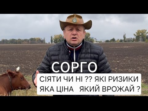 Видео: СОРГО СІЯТИ ЧИ НІ ? ЯКА ЦІНА ЯКИЙ ВРОЖАЙ ЯК ДО ПОСУХИ ? ЧИ НЕ БУДЕ ЯК  СОЄЮ?