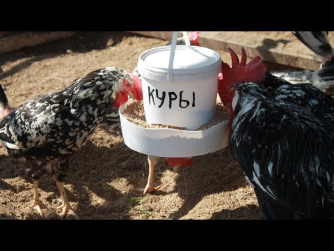 Видео: БУНКЕРНАЯ КОРМУШКА  ДЛЯ КУР.