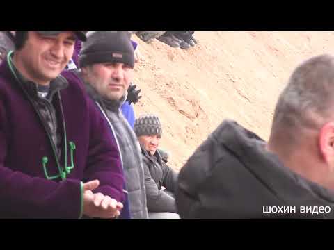 Видео: ПОЛНЫЙ ВЕРСИЯ Бузкаши Могиён  04-02-2024