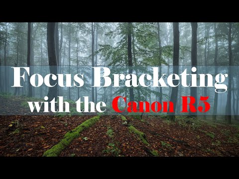Видео: Брекетинг фокусировки с Canon R5