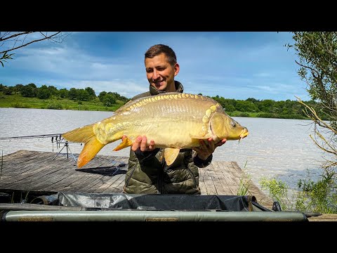 Видео: Ловля карпа на кукурузу. Водоем Карплидер. Рыбалка на карпа и амура. НЕПРЕДВИДЕННАЯ СИТУАЦИЯ!