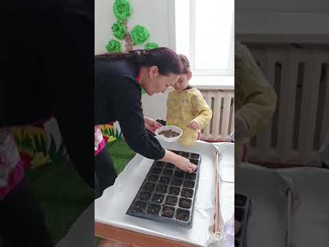 Видео: 27 февраля 2025 г.