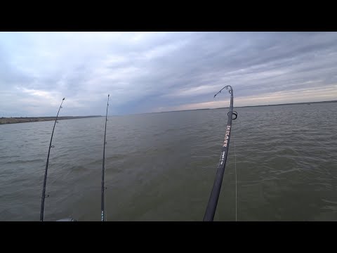 Видео: трофейная рыбалка по сазану и лещу на Дону🐋🎣💥#рыбалка #дон #fishing #лещ #сазан #рыжий #carpfishing 