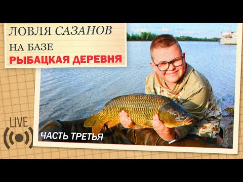 Видео: Рыбацкая деревня 2024 , сазанья песня ! Часть 4. Немного о сазаньей прикормке.