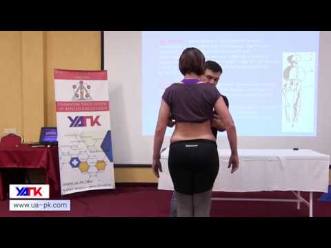 Видео: АЛГОРИТМ визуальной диагностики