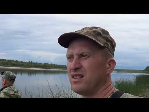 Видео: Рыбалка на реке Вага в Архангельской обл.