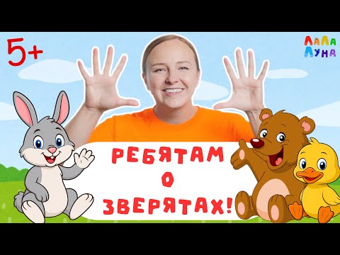 Видео: Сборник Хитов - Изучаем Животных для Детей 0+ #детям #мультик #развивашки