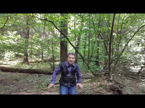 Видео: Как открываются сверхспособности? Стоит ли  их открывать? Про сущности (часть2)