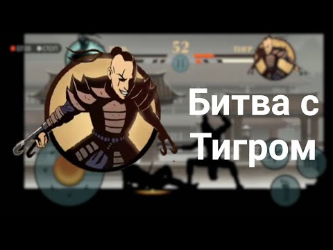 Видео: Битва с Тигром - Shadow Fight 2 #14