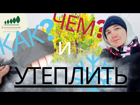 Видео: #15: Надежное УКРЫТИЕ грецкого ореха НА ЗИМУ – АГРОВОЛОКНО в САДУ! Утепление растений, PLANT WARMING