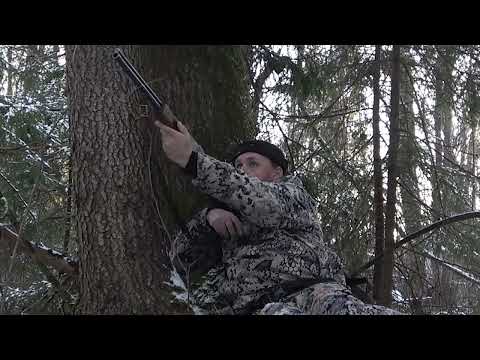 Видео: Охота на рябчика Non stop #7 \ ИЖ-94 "Север" 22LR Приморозило