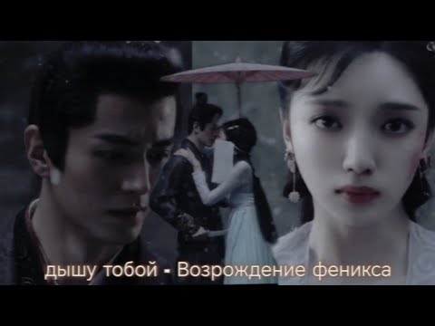 Видео: 👑Возрождение феникса💞Rising Feather💞Зелёный феникс💞Стать фениксом💞青雀成凰💞Клип к дораме