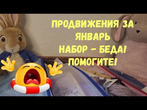 Видео: ПРОДВИЖЕНИЯ ЗА ЯНВАРЬ. Нова Слобода, Дименшенс, РТО, Панна. НАБОР - ПРОБЛЕМА! НУЖНА ВАША ПОМОЩЬ!! 🆘