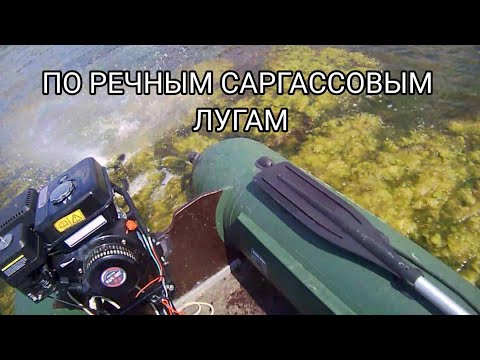 Видео: Болотоход. ПЛМ Parsun LT-7 на плоскодонке ПВХ, 3.40. Тест на заболоченной реке.