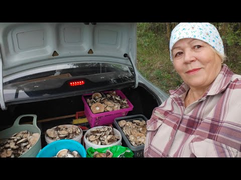 Видео: За ГРУЗДЯМИ //Собрали полный багажник на продажу//