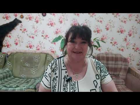 Видео: Перепела в моём хозяйстве. Первый день жизни малышей. #перепела