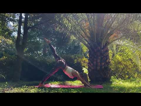 Видео: Йога 45 минут. Интенсивный комплекс для ног и силовые балансы: Аштавакрасана и Ширшасана.