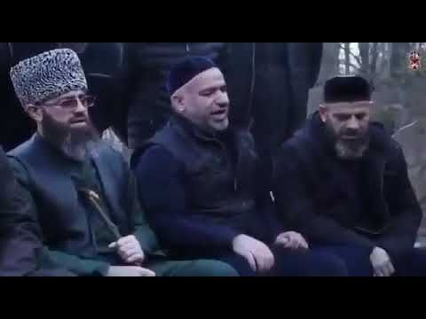 Видео: 15 октября 2025 г.