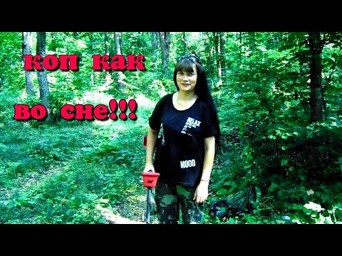 Видео: КОП КАК ВО СНЕ 2021! РАССЫПУХИ ЦАРСКИХ  МОНЕТ с Garrett AT Pro, Vanquish 340, XP ORX, Кощей 45