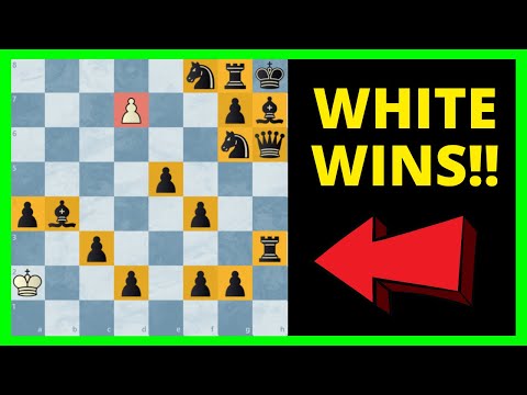 Видео: 8 поистине замечательных шахматных головоломок