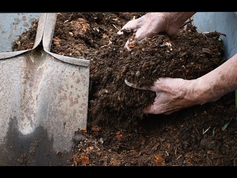 Видео: Использование компоста из гуманурных отходов
