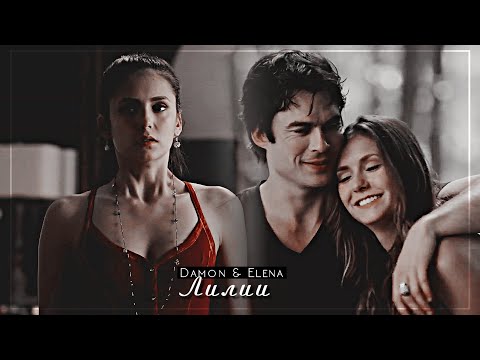 Видео: ▻Damon & Elena || Лилии