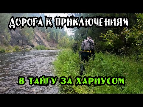 Видео: За Хариусом в Тайгу: Дорога к Приключениям