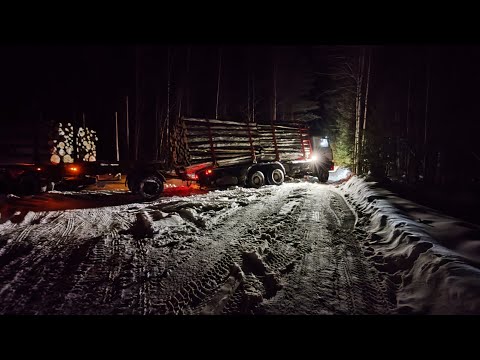 Видео: Вот это рейс. Чуть не положили Мазая. #маз #лесовоз