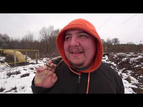 Видео: ГЕННАДИЙ ГОРИН ВПЕРВЫЕ ПРОБУЕТ КРЕВЕТКИ  ПОХОД  МАКС И ЛЁХА(СЛИВ ВИДЕО ФИЛОСОФ ИЗ ТРУЩОБ)