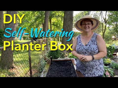 Видео: Самостоятельный контейнер для полива / ящик для растений - 💦🪴🌺🌸💦