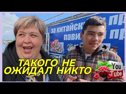 Видео: Ольга Уралочка /Такого не ожидал никто /Обзор блогеров /Ольга Уралочка live 