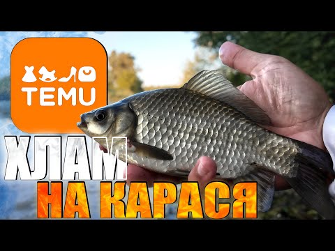 Видео: Тест Temu снастей на КАРАСЯ 