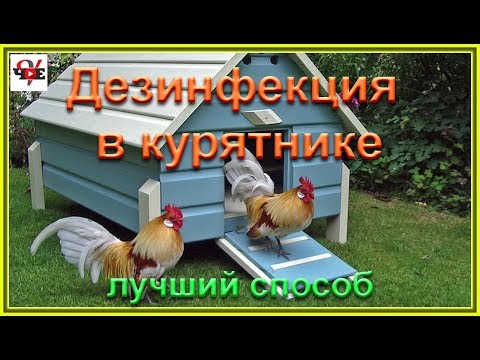 Видео: Дезинфекция в курятнике - лучший способ.