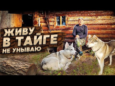 Видео: в Тайге не скучно.Нашли Оленя. Рыбалка.Дары лета.