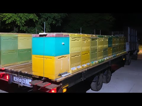 Видео: Выехали на пасеку , модули для ульев в деле