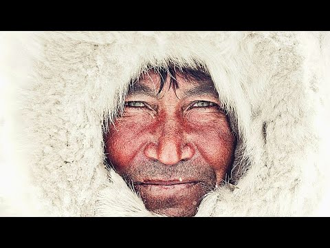 Видео: ОЛЕНЕВОДЫ на ТАЙМЫР! Северные Олени ВЫМИРАЮТ! Ненцы