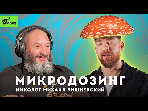 Видео: Раз, два, ТРИП | МИКОЛОГ МИХАИЛ ВИШНЕВСКИЙ (часть 2)