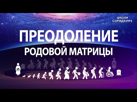 Видео: Зачем собирать горизонтальный опыт #ШколаСорадение #Гарат