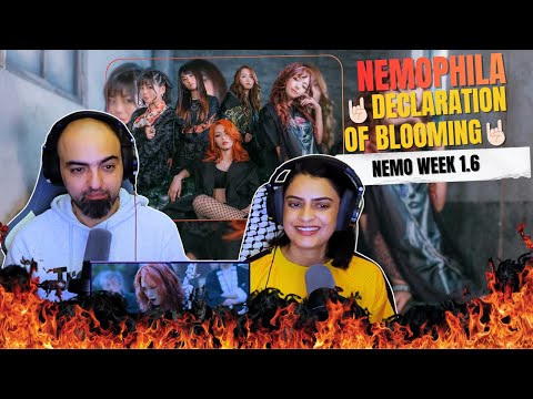 Видео: Неделя реакции на немофилу - 6 - Заявление о цветении