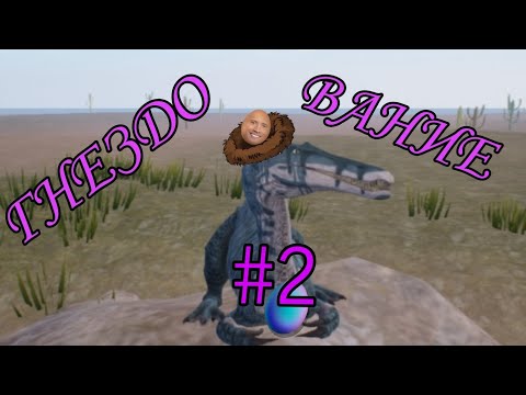 Видео: Гнездование Зухомима #2