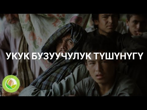 Видео: Нурлан Исмаилов - 13 - "Укук бузуучулуктун  түрлөрү"