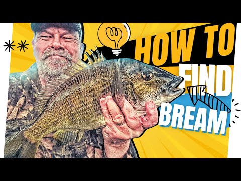 Видео: МАСТЕР-КЛАСС: Ловля леща сверху донизу — поиск и ловля!