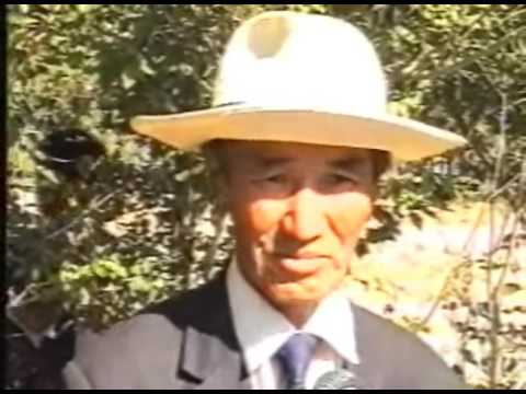 Видео: Дуу төрсөн түүх - Тал нутгийн дуу  - D.Dorjderem БЦДБЧ-ийн дуучин МУСТА  Д.Дорждэрэм