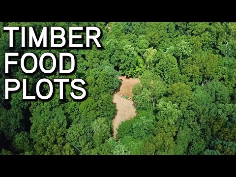 Видео: Лесные продовольственные участки | Создание новых продовольственных участков в Биг-Тимбер