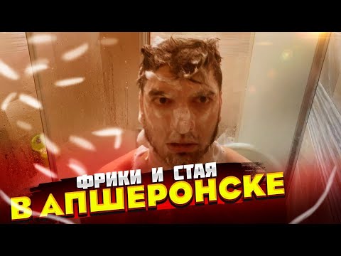 Видео: СТАЯ И ФРИКИ В АПШЕРОНСКЕ | STAYA & FREAK SQUAD | TWITCH | ПЕРЕЗАЛИВ