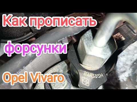 Видео: Як прописати форсунки Opel Vivaro 2.0